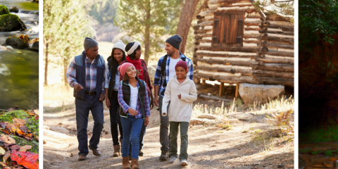 Family Reunions Large Groups Big Cabins By Vacasa